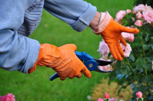 Clearing storm debris and damaged tree limbs from a local property