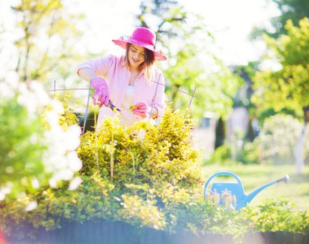 Keyboard navigation and accessible content on a tree care website