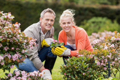 Tree surgery supporting healthy landscapes and sustainability